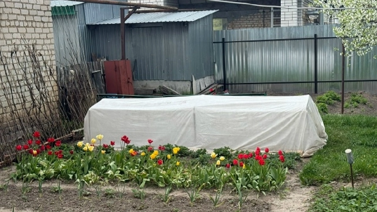 После Троицы будет поздно: 12 дел в огороде и саду, которые надо закончить до конца весны