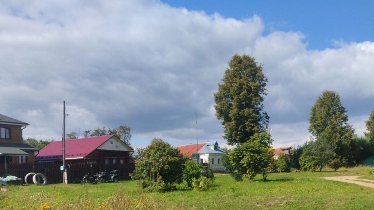 Металлочерепица уже не в моде: продвинутые строители в 2026 кроют себе крыши только этим и горя не знают