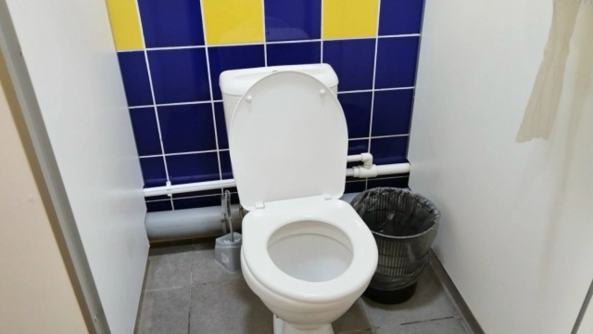 В 5 раз грязнее ободка унитаза: назван предмет в туалете, который кишит бактериями 