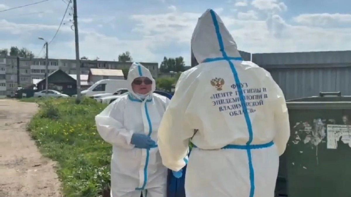 Во Владимире специалисты провели дератизацию на двух улицах