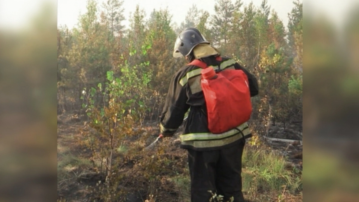 В Камешковском районе после атаки беспилотников произошло возгорание на 800 кв.м
