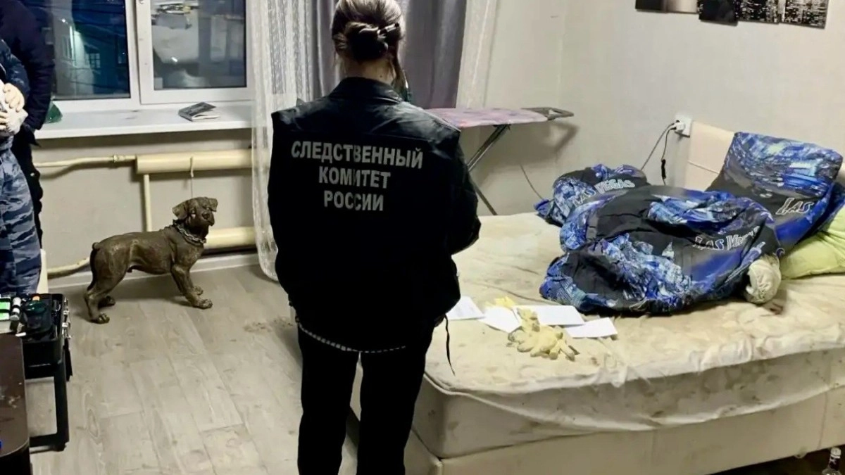 Жителю Гусь-Хрустального, которого нашли по окурку, дали 9 лет «строгача»