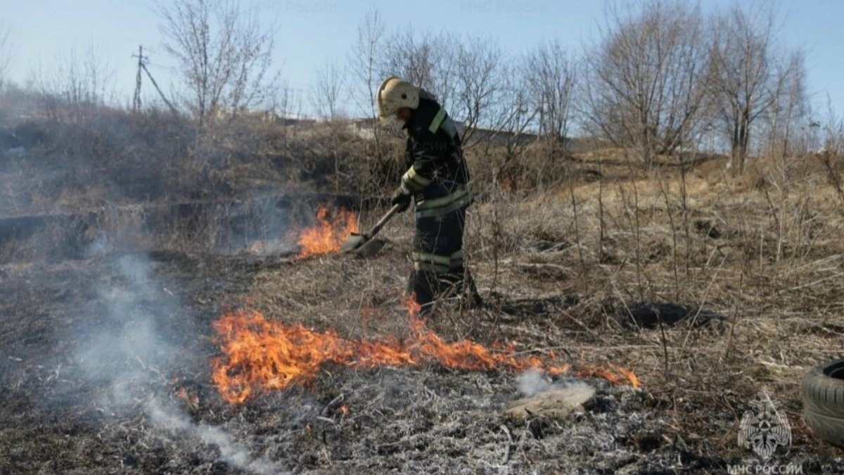 Высокий уровень пожарной опасности в 33-м регионе продлен до 31 мая