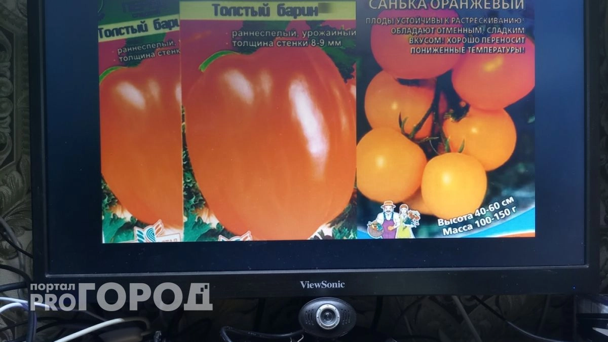 Владимирские специалисты пресекли онлайн-продажи нелегальных семян овощей