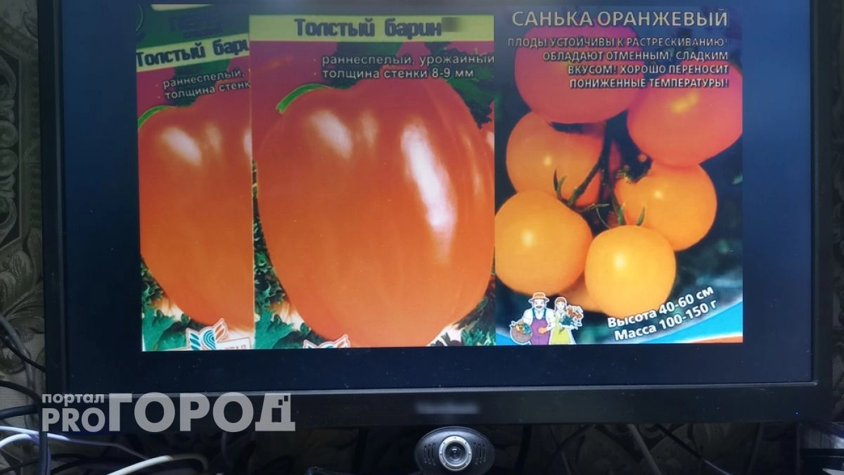 Владимирские специалисты пресекли онлайн-продажи нелегальных семян овощей