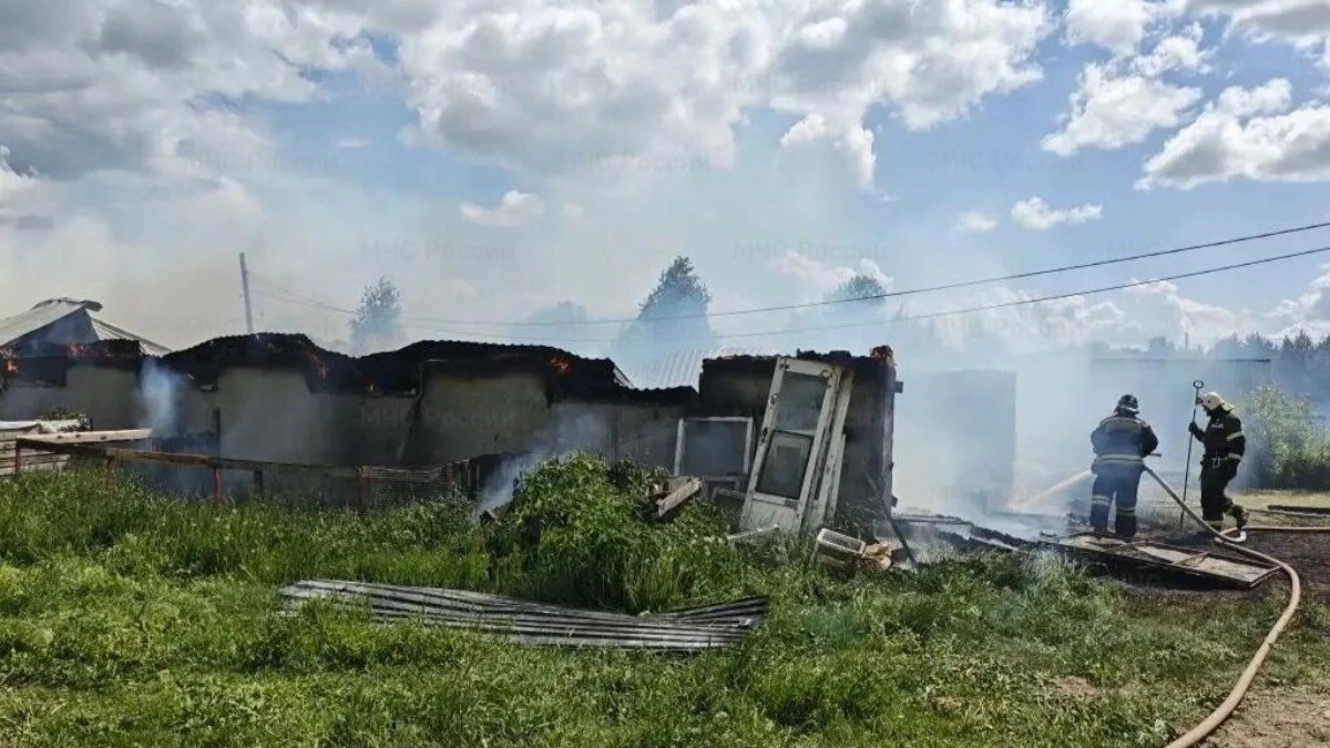 В Муромском округе загорелось здание фермы