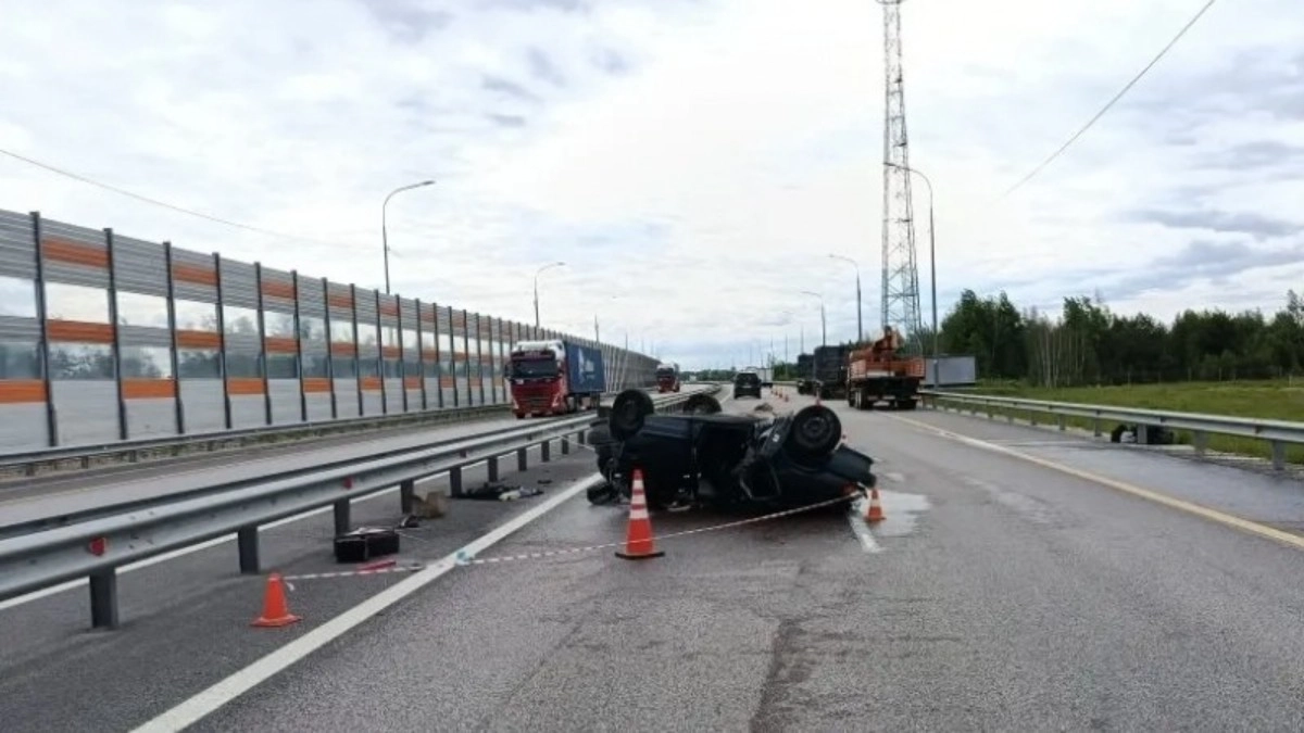 ДТП с большегрузом на «встречке» в Муромском округе унесло жизни двух человек