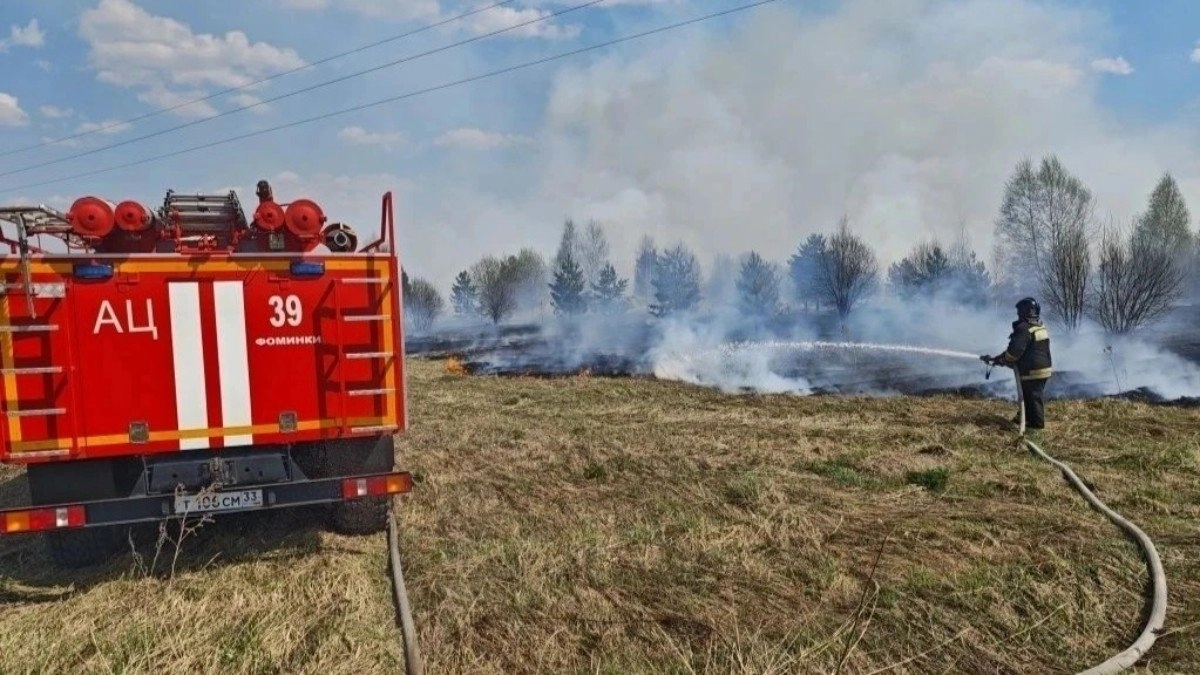Режим высокой пожарной опасности в 33-м регионе продлен до 6 июня