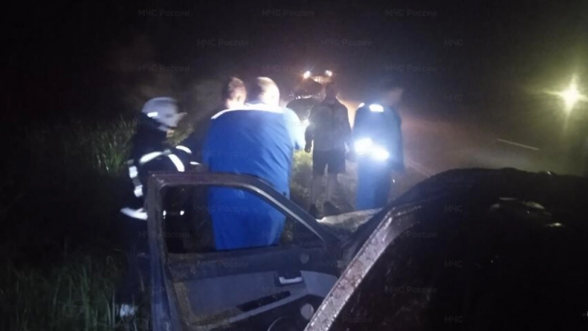 На трассе «Золотое кольцо» в Гусь-Хрустальном округе произошло ДТП с лосем