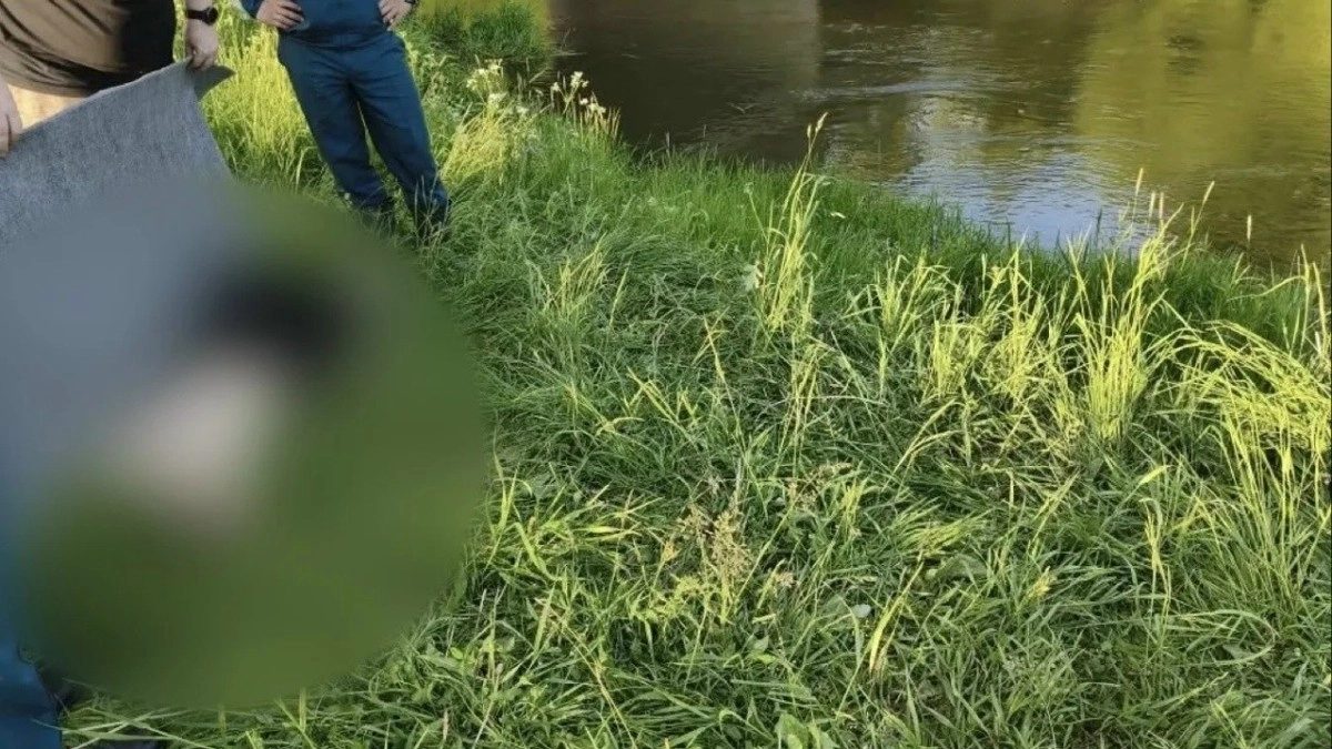 В Киржаче в реке утонул 12-летний мальчик