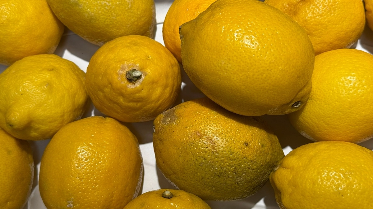 С жиром и известковым налетом больше не мучаюсь: использую два средства с кухни - дома чисто, как в дорогом отеле