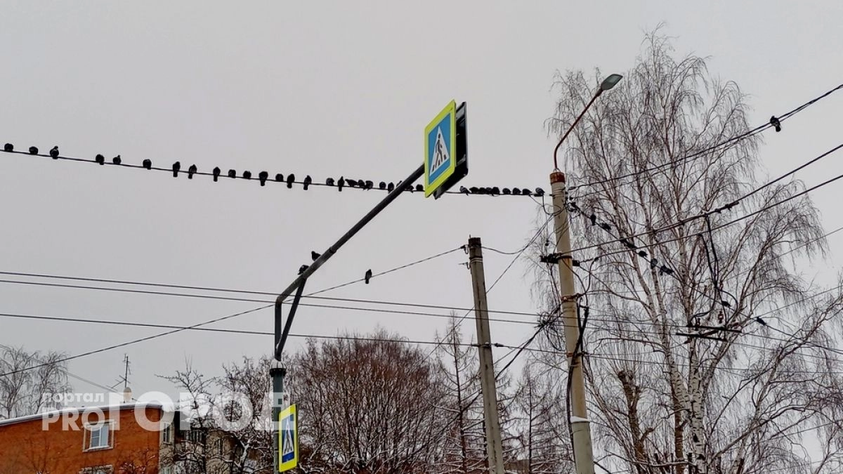 По требованию владимирского прокурора участок земли в городе подключили к сетям
