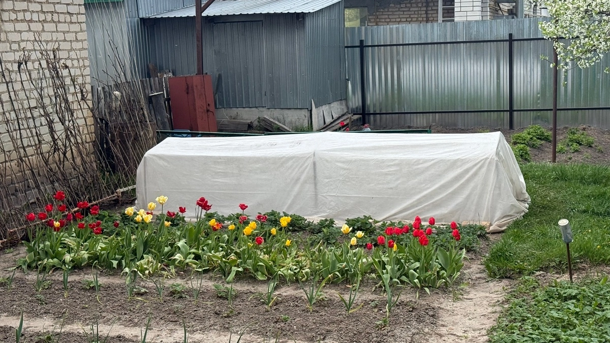 Календарь огородника: что посеять сейчас, чтобы собирать урожай не один, а два раза - берите на заметку