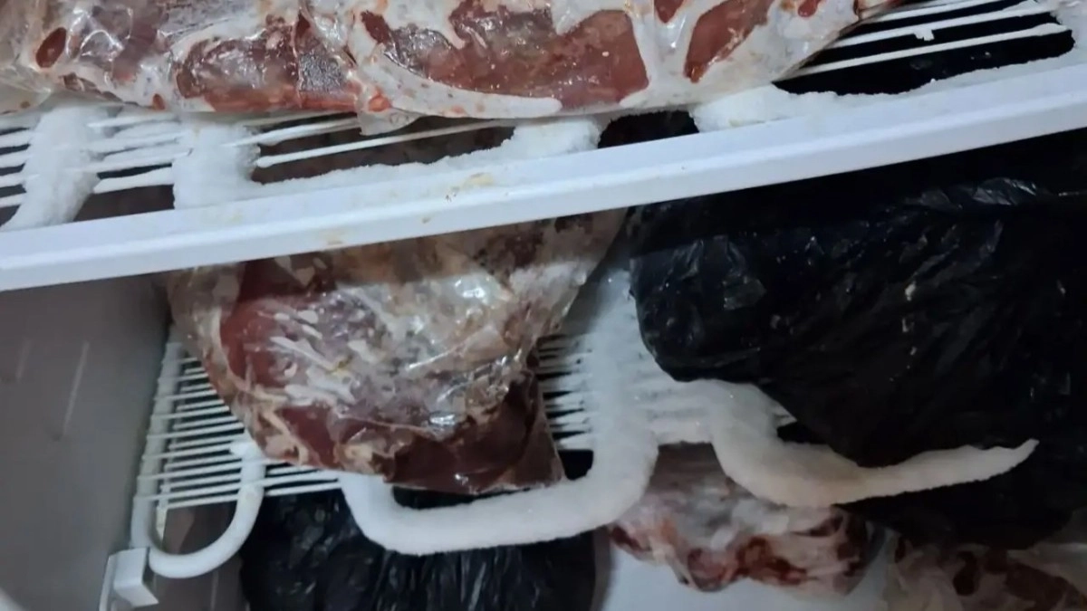 В детсадах Петушинского района нашли нарушения при хранении мяса и рыбы