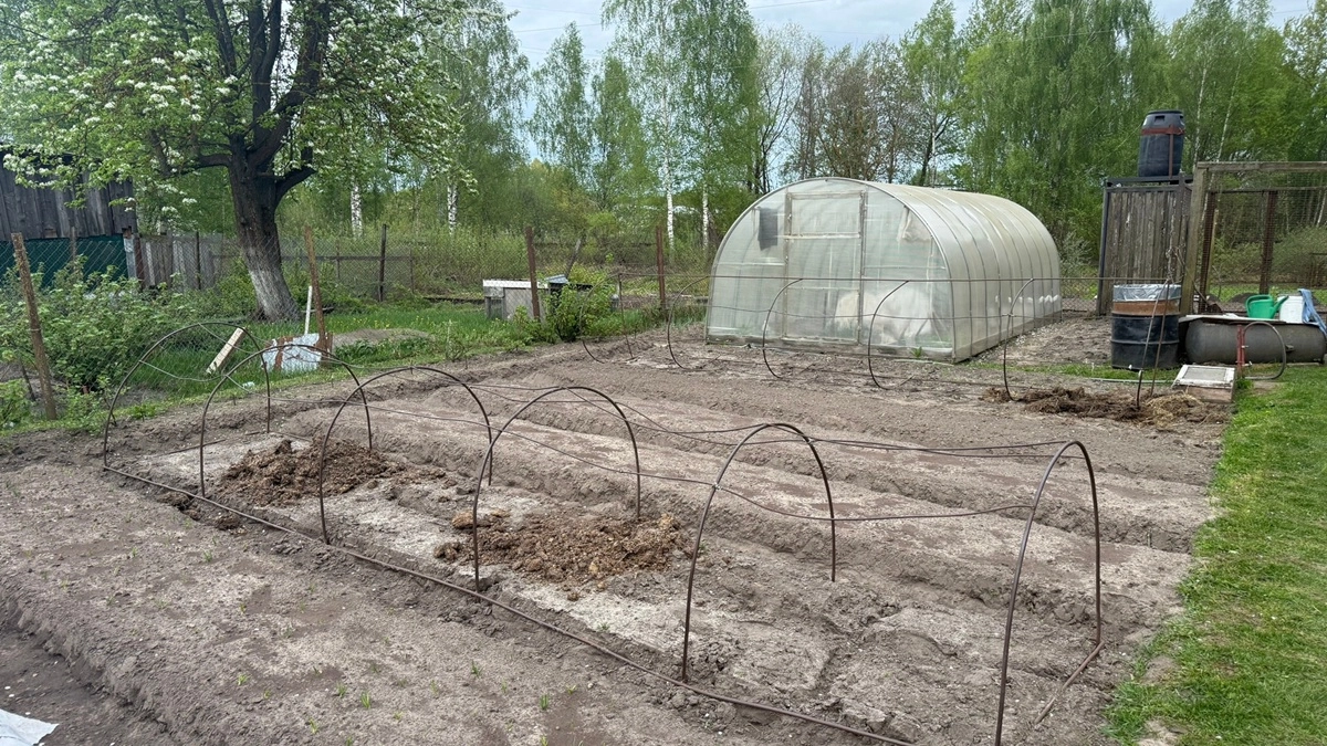 Миска этой крупы вместо 10 килограмм навоза: рассыпаю по огороду — и почва становится мягкой и плодородной
