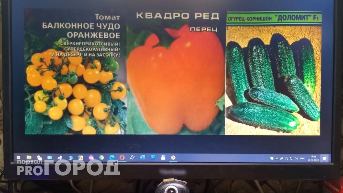 Владимирские специалисты пресекли продажи 900 нелегальных сортов овощей