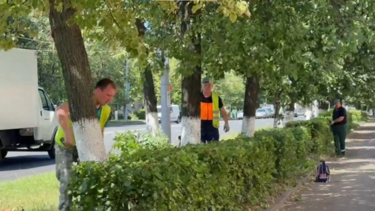 Во Владимире благоустраивают участки на проспекте Ленина и улице Благонравова