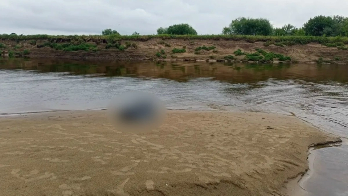 На реке Клязьме в Гороховецком районе утонули пенсионер и его шестилетний внук