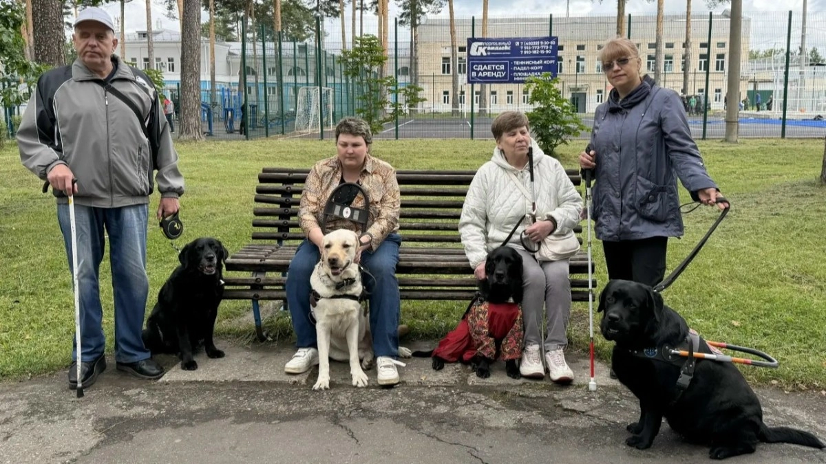 Владимирцы с нарушением зрения теперь могут возместить затраты на корм для собак-проводников в Отделении СФР