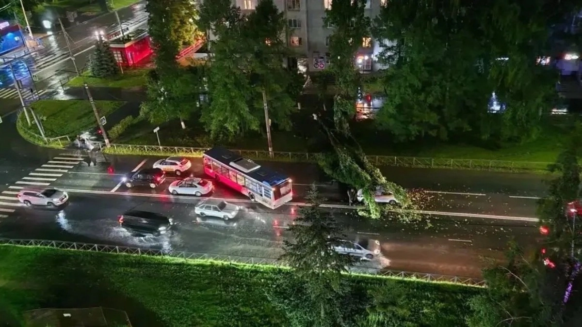 Ночной ураган во Владимире повалил деревья и повредил ЛЭП