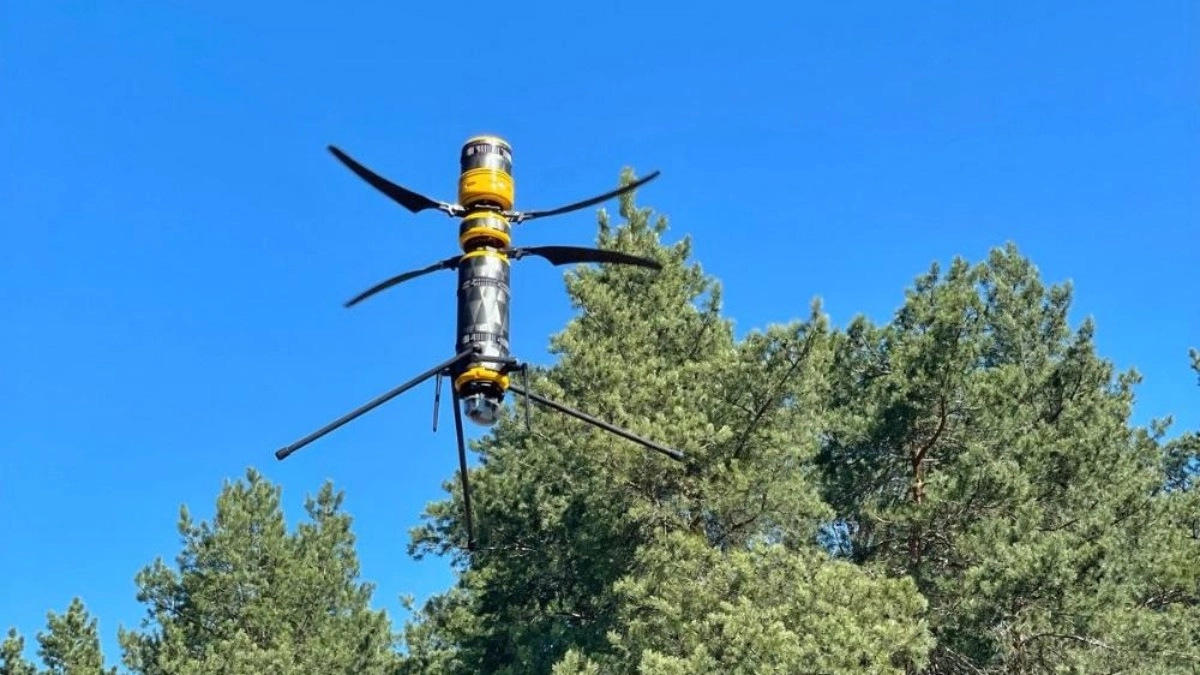 Благодаря системной работе во Владимирской области удалось сократить количество лесных пожаров