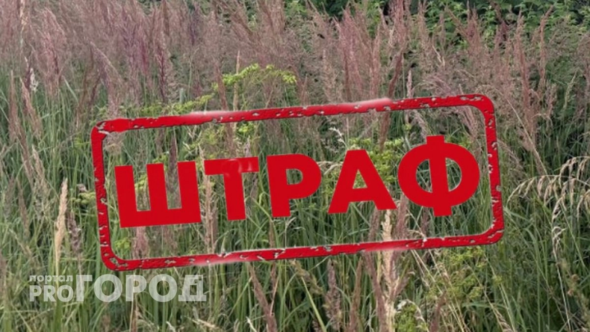 Владельцев земельных участков в двух районах 33-го региона оштрафовали повторно