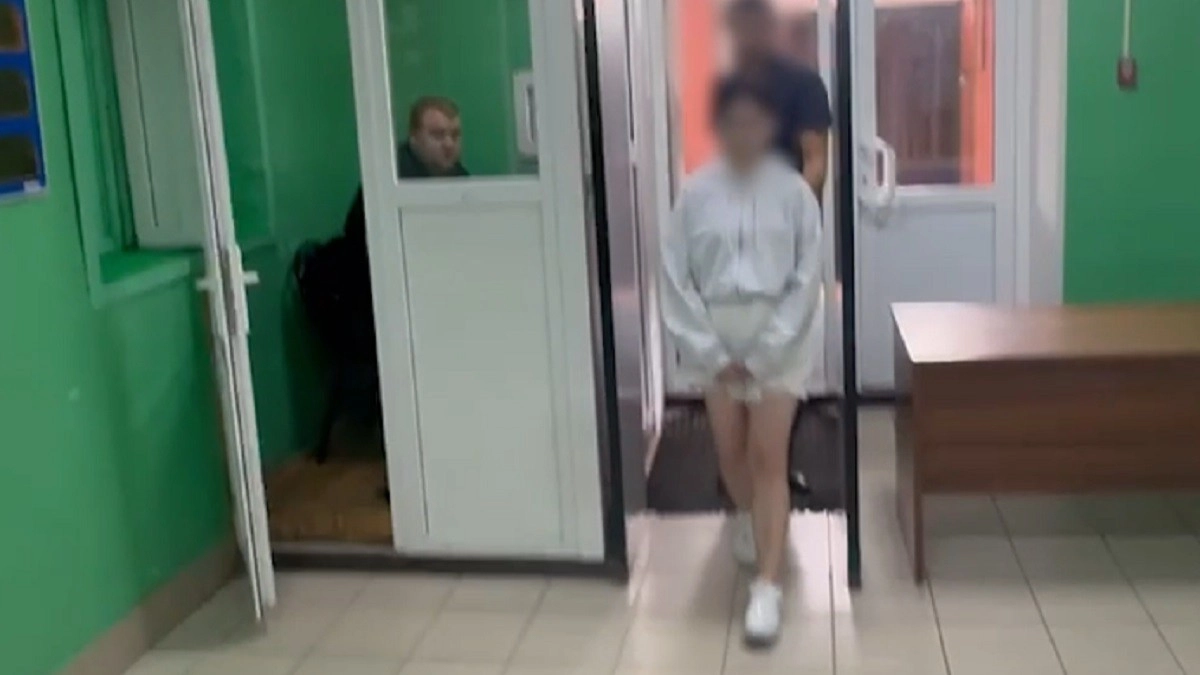 В Меленковском округе 19-летняя девушка обманула мужчину на 3 миллиона рублей