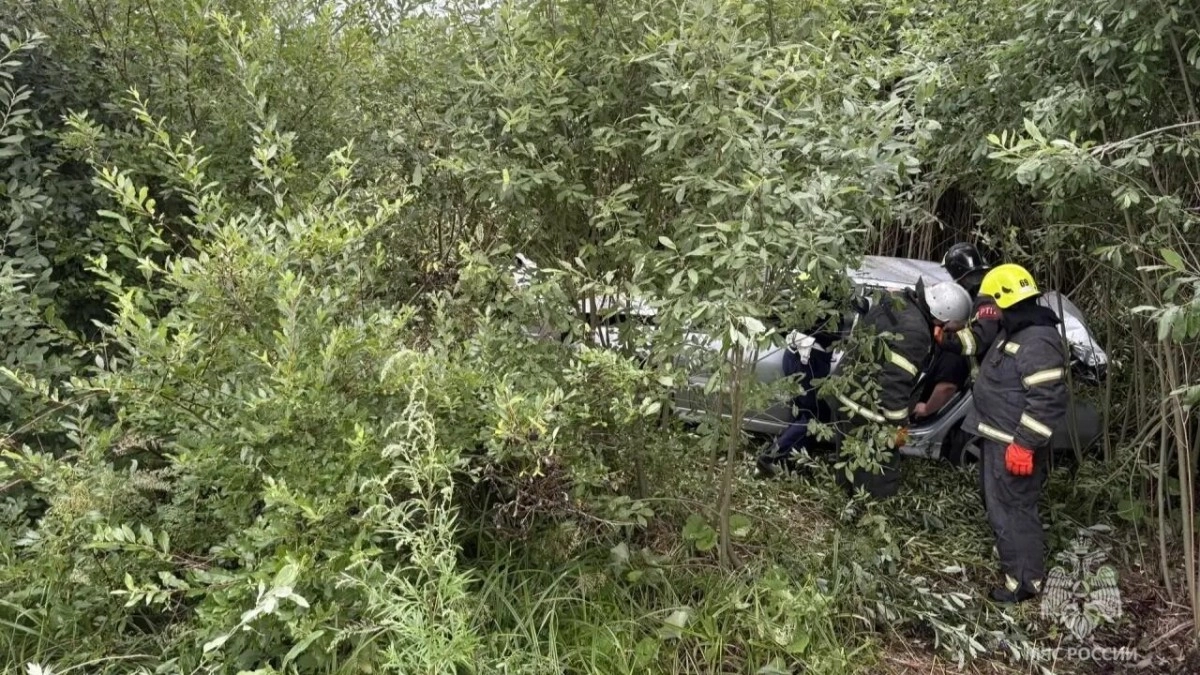 Под Киржачом спасатели извлекли людей из покореженного авто после ДТП