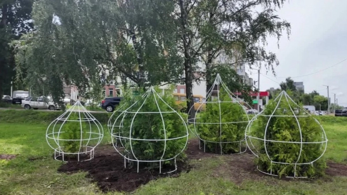 На въезде во Владимир появится необычная композиция из туй в форме церковных куполов