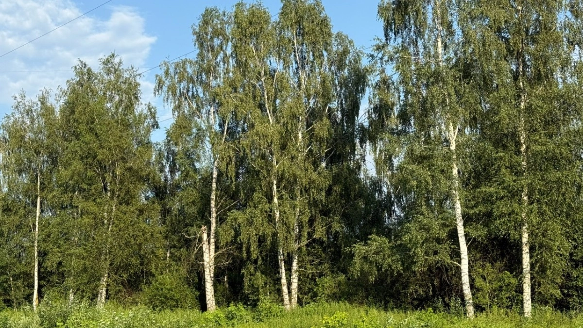 Во Владимирской области разыскивают пенсионера с коричневой сумкой