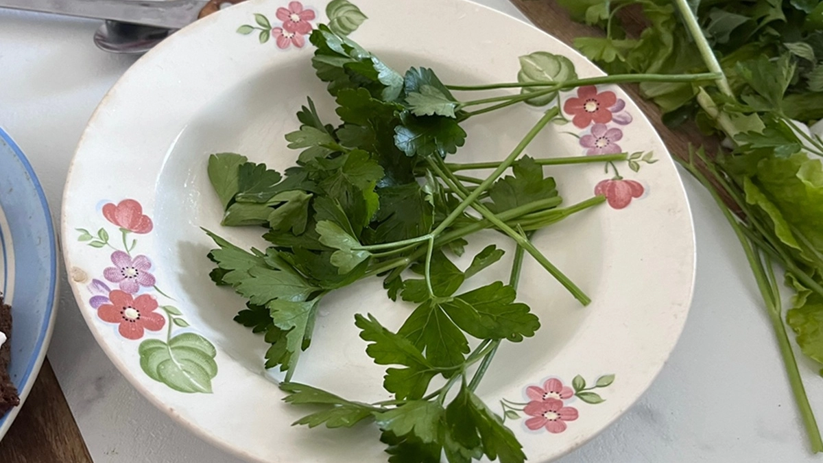 Ароматную петрушку и кинзу не морожу — запасаю кубиками: вкус на максимуме, цвет — как с грядки