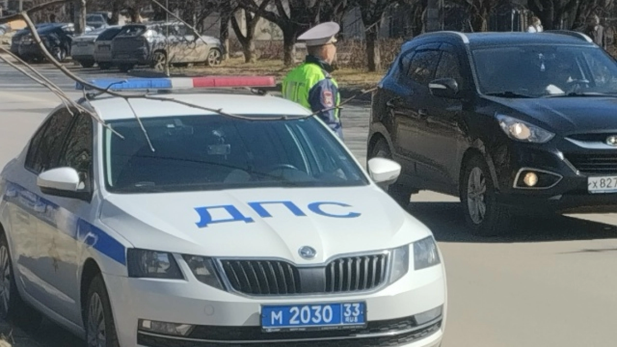 ГАИ начали тормозить машины за непристёгнутых пассажиров на заднем сиденье: кто должен платить штраф - водитель или пассажир