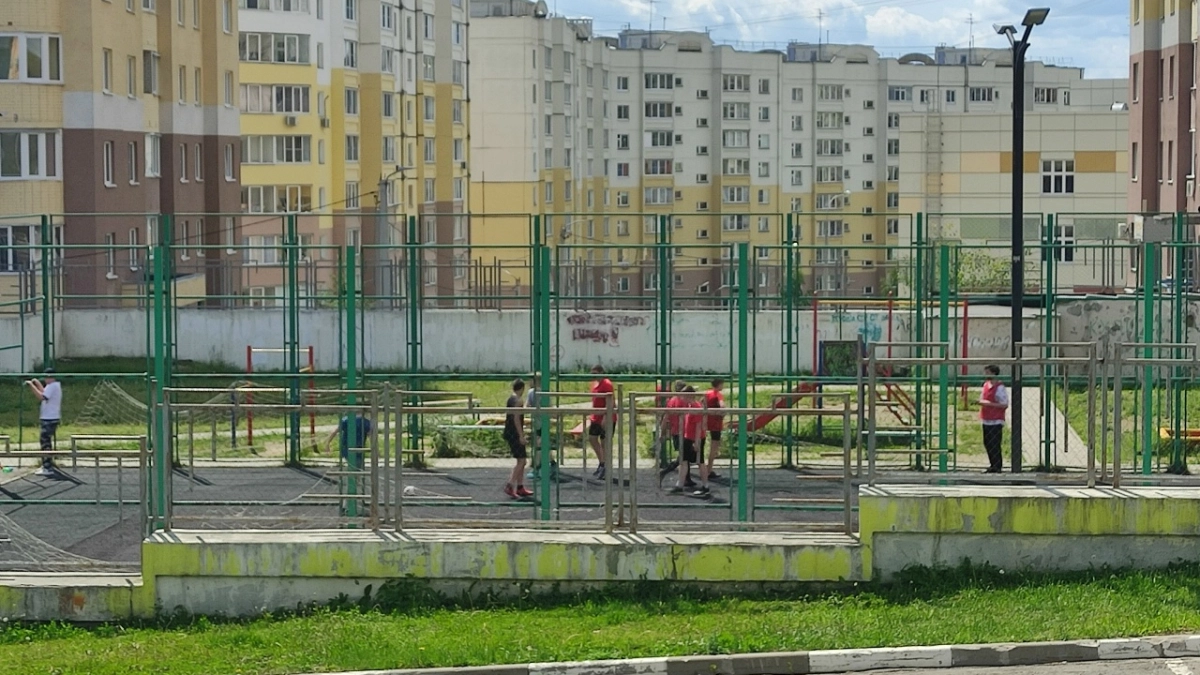 Во Владимирской области успешно развиваются 133 вида спорта