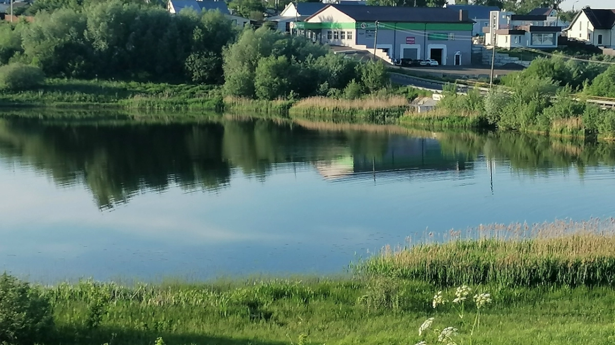 Во Владимирской области в противопожарном пруду утонул мужчина