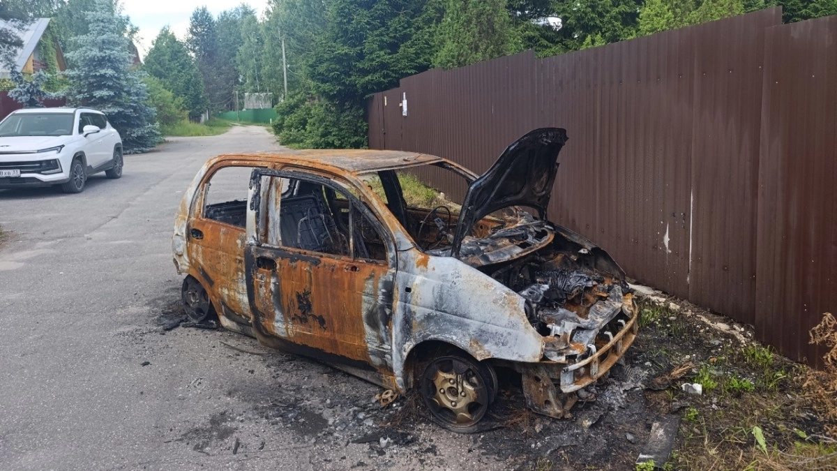 В Коврове конфликт из-за собак привел к поджогу автомобиля