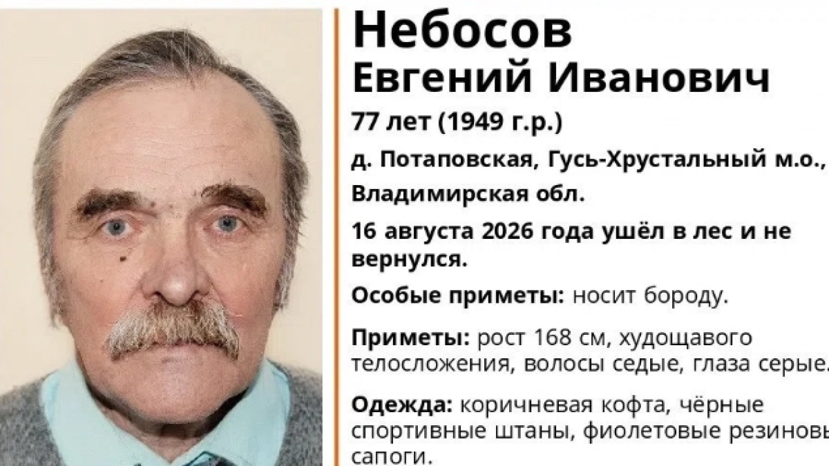 В лесах Гусь-Хрустального района пропал человек