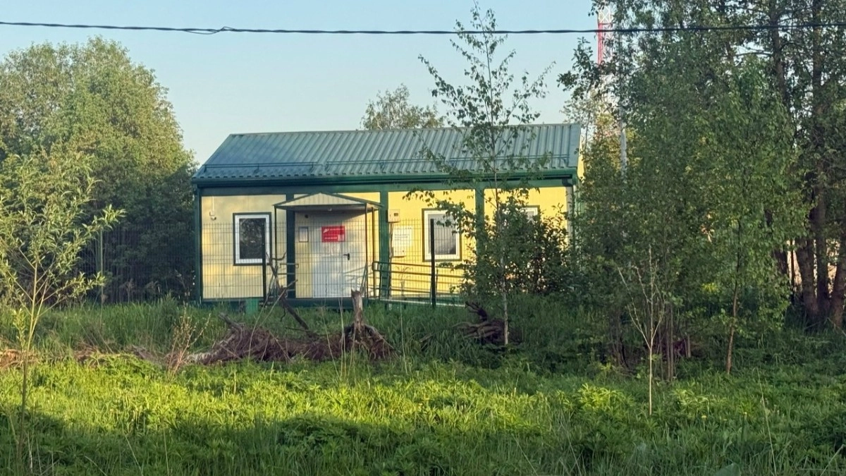 В ФАПах под Александровом нашли просрочки и нарушения хранения лекарств
