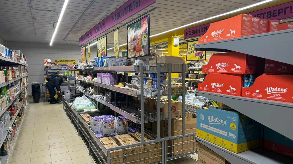 В 33-м регионе подорожали продукты и бензин, но овощи подешевели до 4,6%