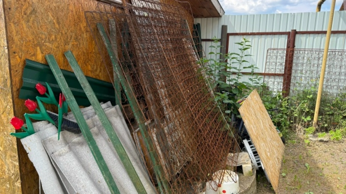 Умные дачники давно отказались от огородов и спину не горбатят: вот чем модно заниматься на участке в 2026-27 году