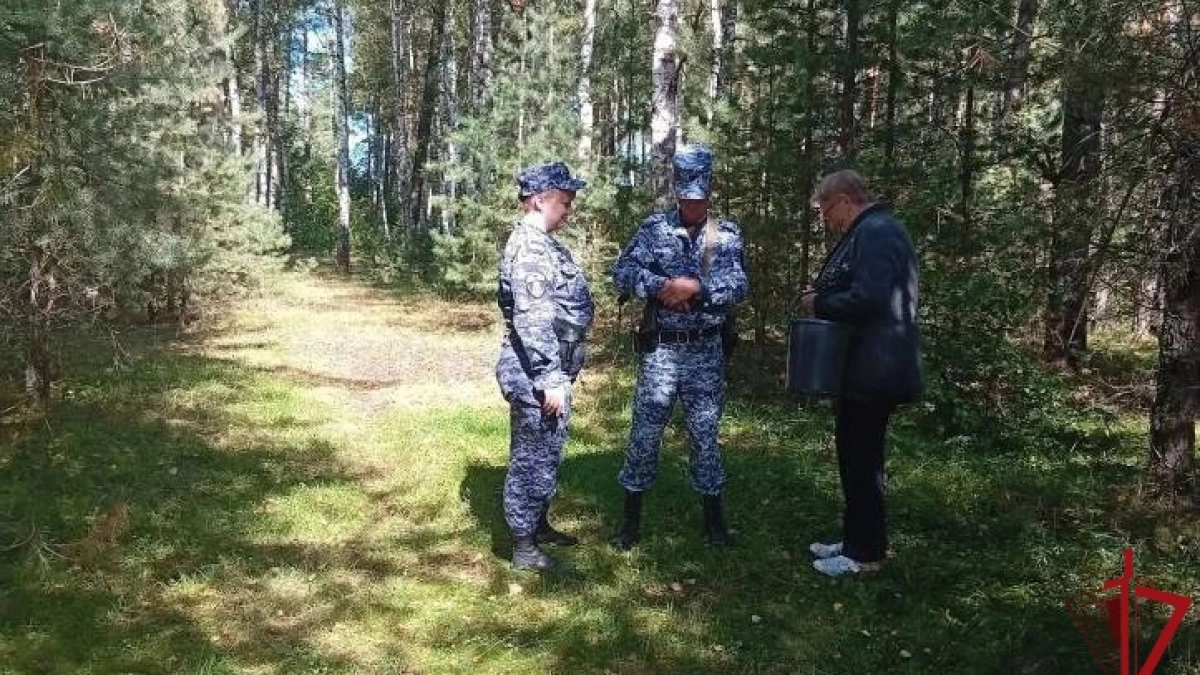 В Кольчугинском районе росгвардейцы отыскали заблудившуюся пенсионерку