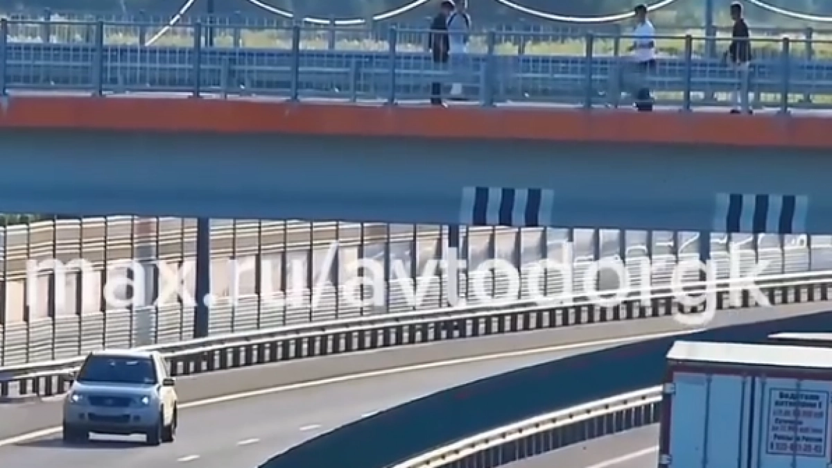 Подростки из Владимирской области бросали камни в авто, движущиеся по трассе М-12