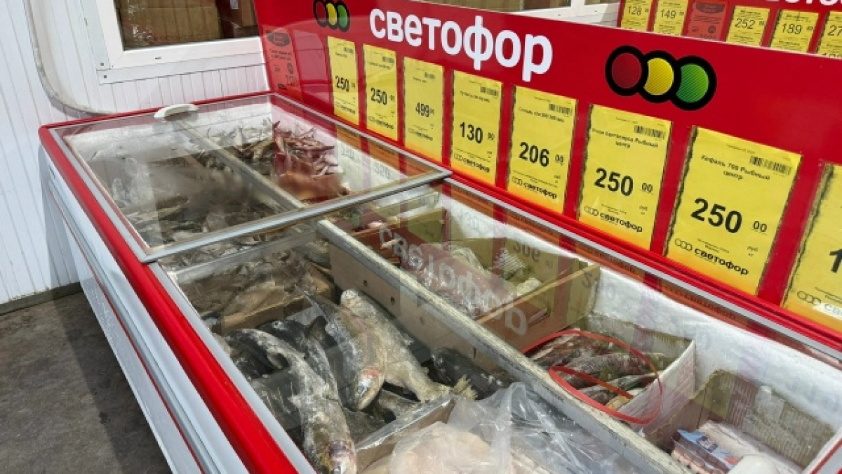 "Светофор" теперь не узнать: новый формат, вывеска и ассортимент - вот как называются обновлённые магазины сети 