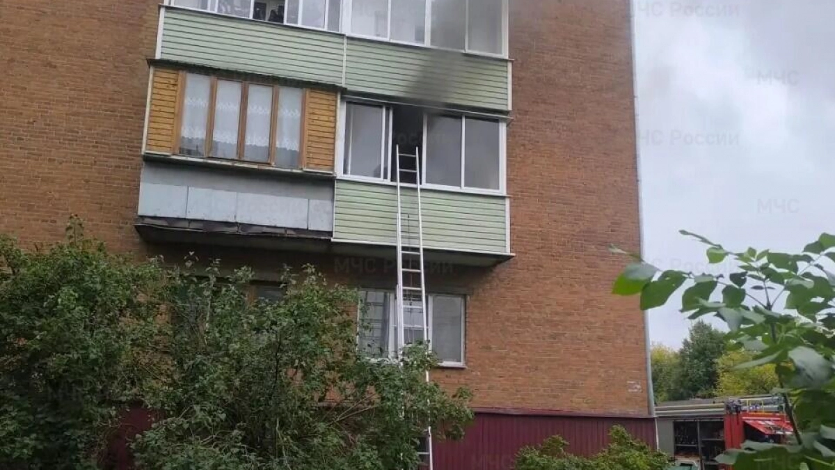 Во Владимире на пожаре спасли человека