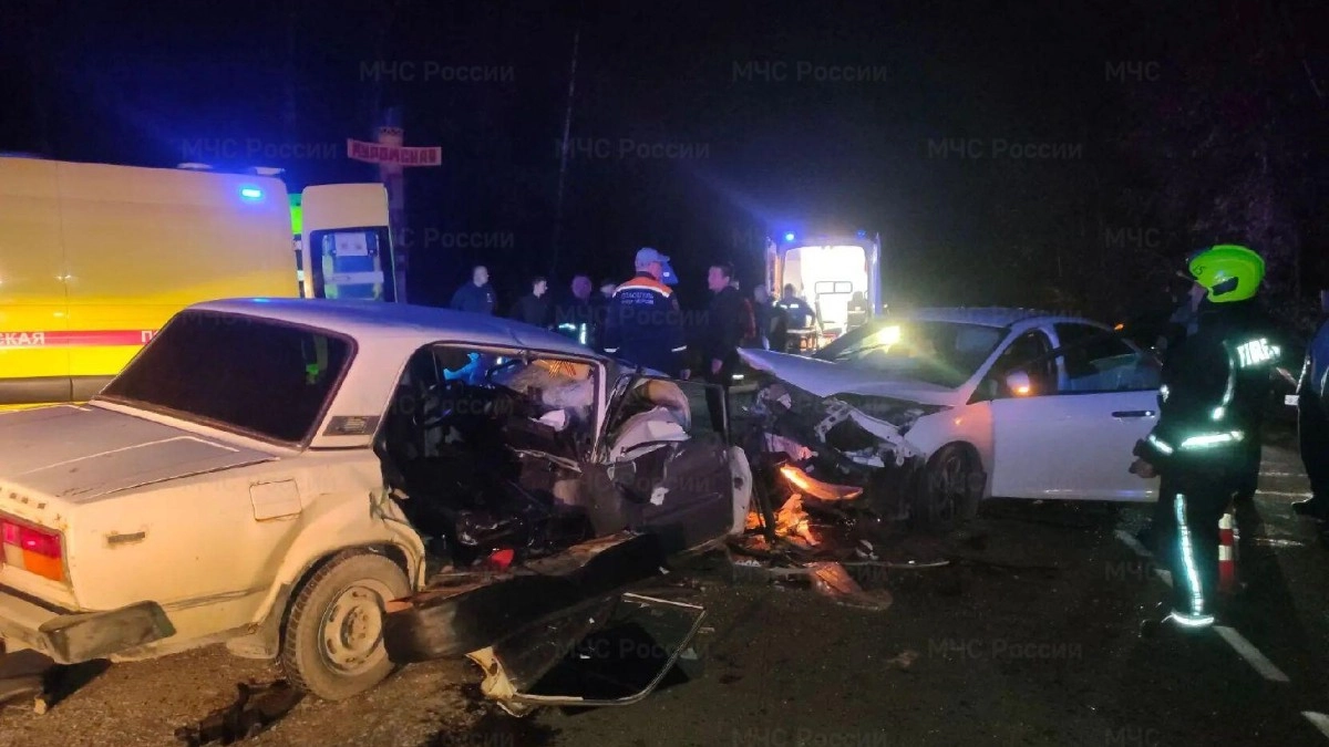 Под Муромом после страшного ДТП спасатели деблокировали людей из авто
