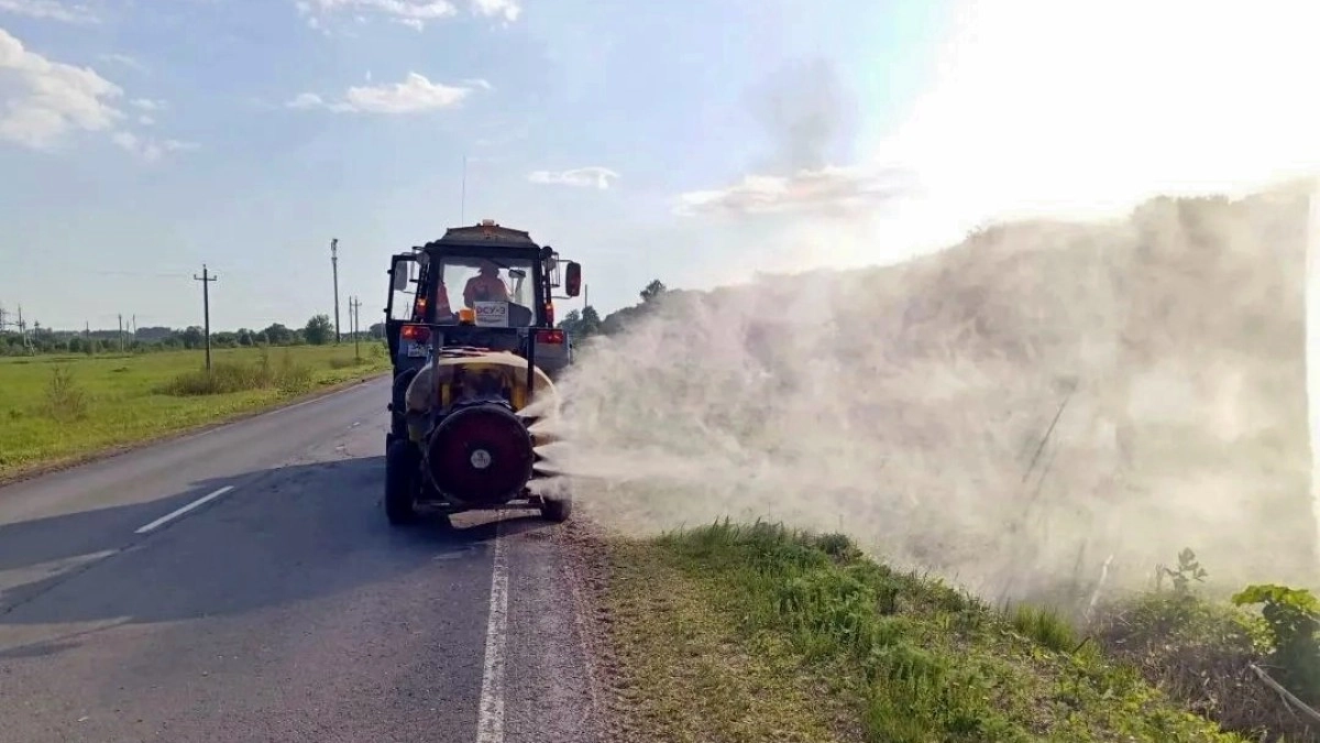 Во Владимирской области обработали более 600 га от борщевика и амброзии