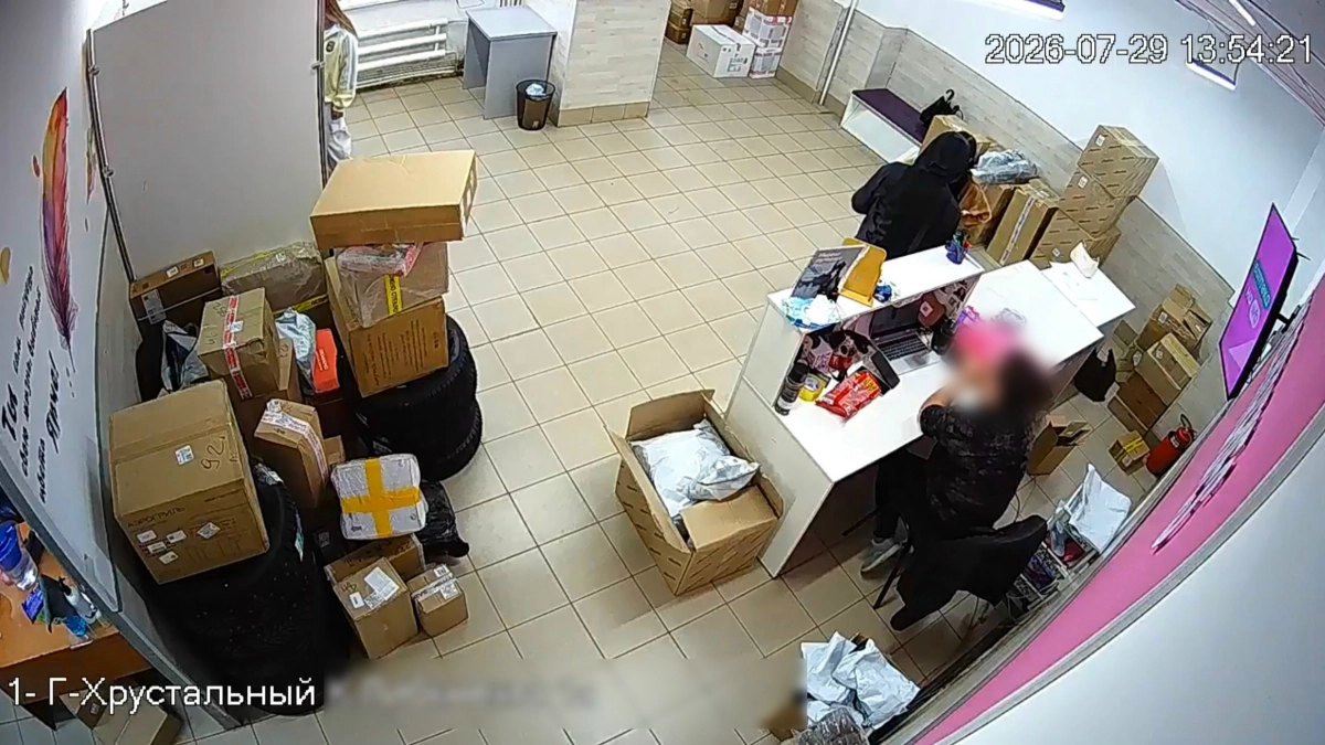 В Гусь-Хрустальном 19-летняя девушка привлекла подростка к краже телефона из ПВЗ