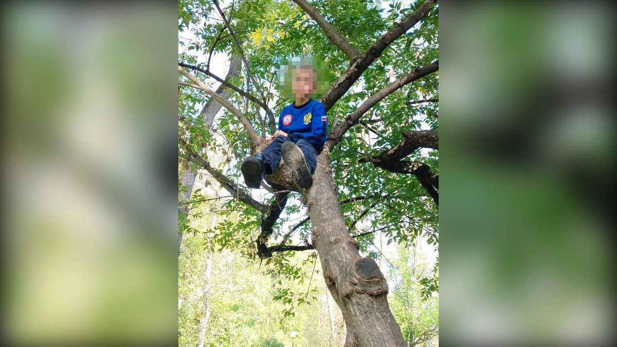 Во Владимире девятилетний мальчик дважды вызвал спасателей ради забавы
