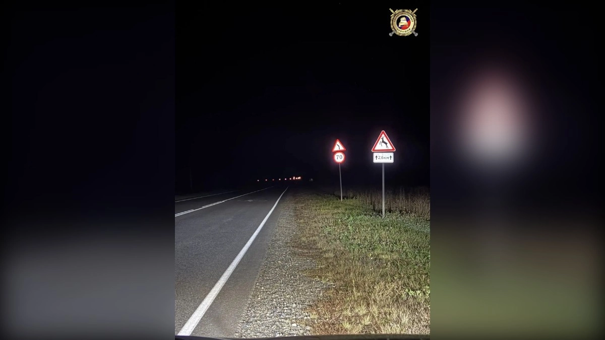 Автобус с 17 пассажирами сбил лося по пути в Муром
