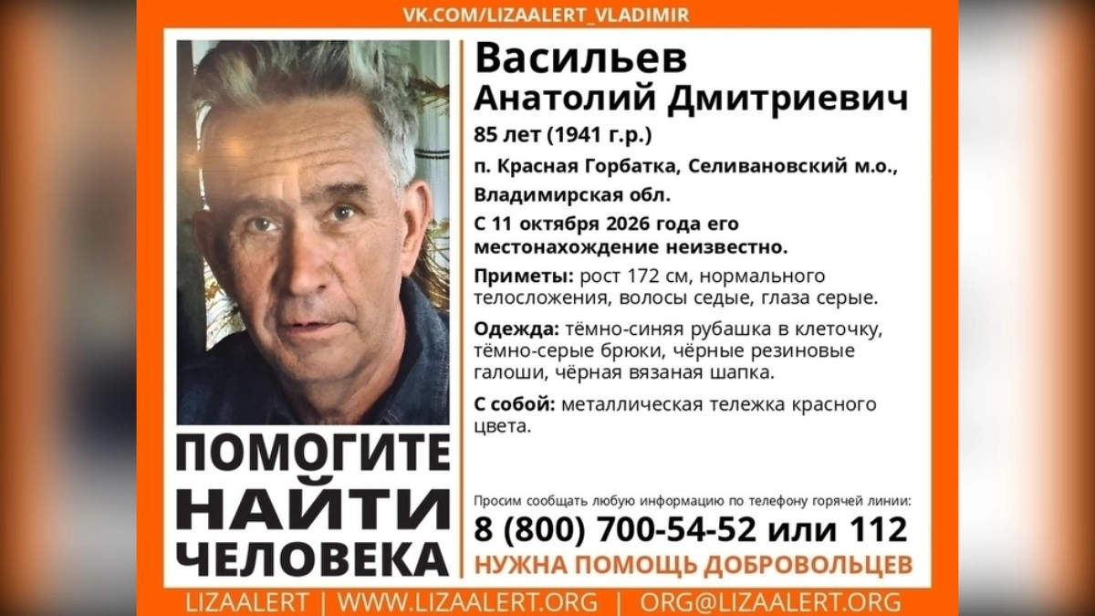 Во Владимирской области вторые сутки ищут 85-летнего пенсионера