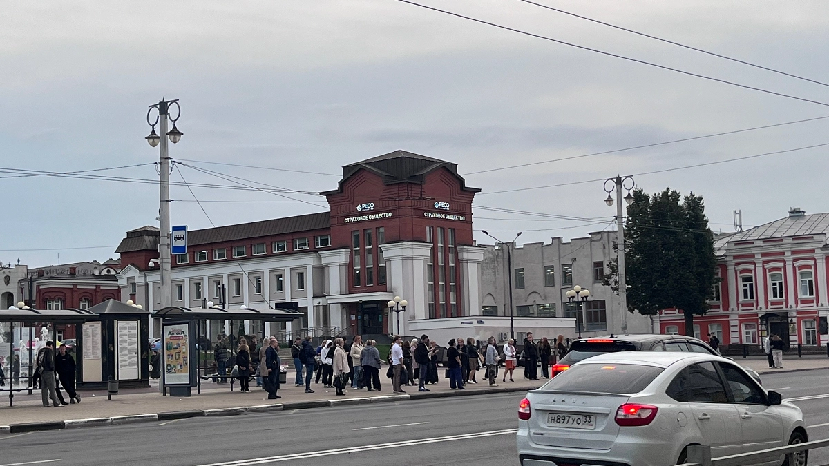 Во Владимире 20 октября проведут обработку территорий от грызунов